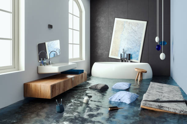 Best Flood restoration services  in Salida, CO