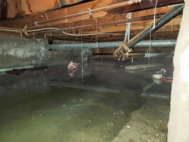 Best Flooded house restoration  in Salida, CO