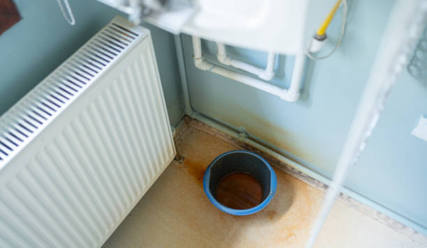 Best Residential water damage restoration  in Salida, CO