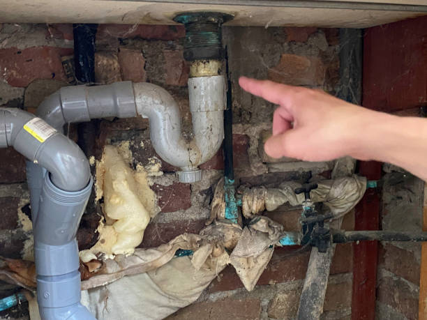 Best Ceiling water damage repair  in Salida, CO