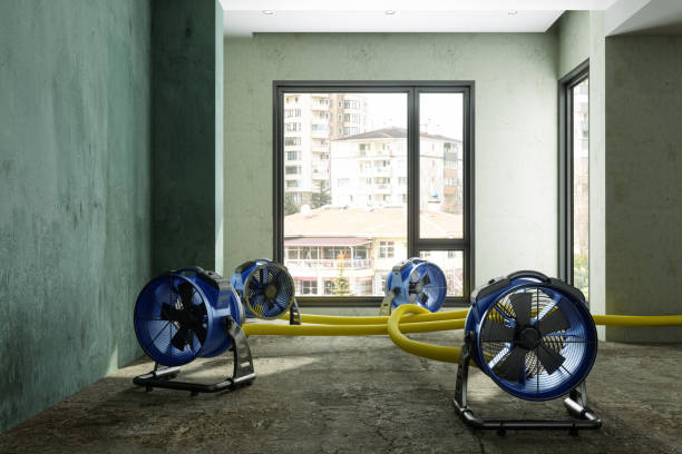 Reliable Salida, CO Water damage restoration Solutions